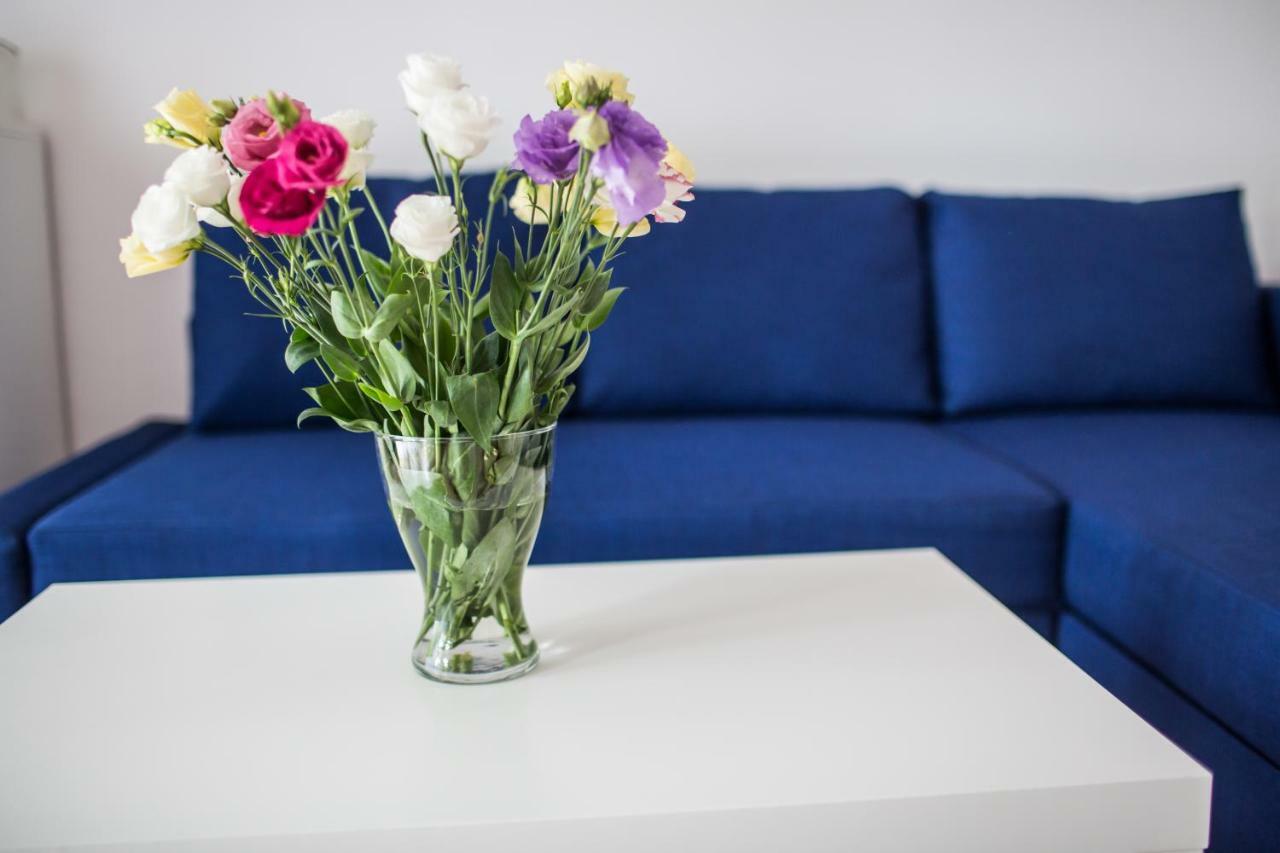 Apartament Pod Winogronami Krasków Εξωτερικό φωτογραφία